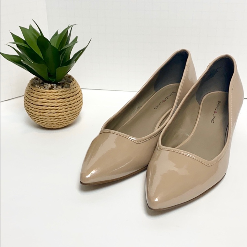 FRANCI WEDGE PUMP Size 6.5